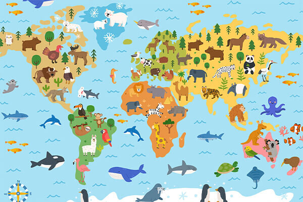 Illustrating a world animal atlas for kids
