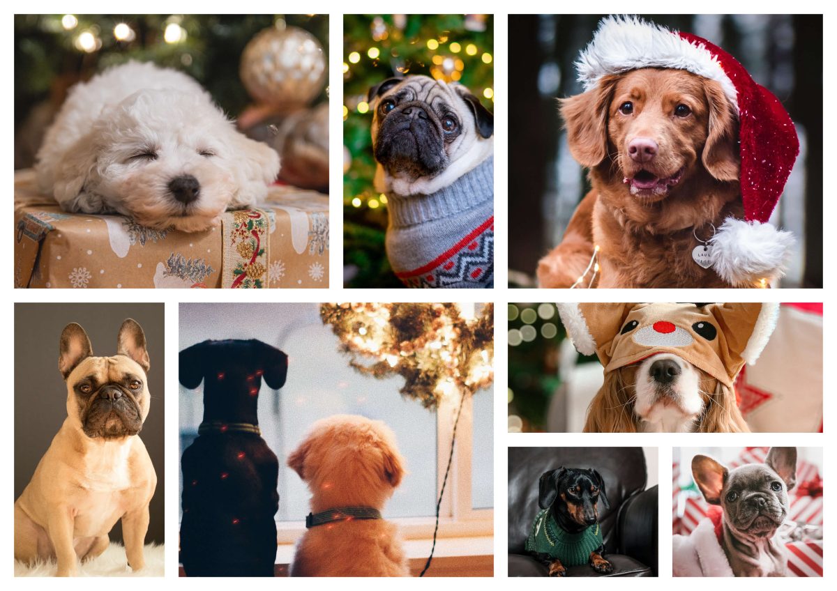 Moodboard for the Christmas dog surface pattern trend.